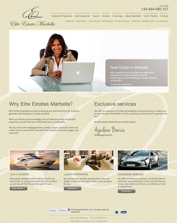 Redesign and reprogramming real estate website in Marbella