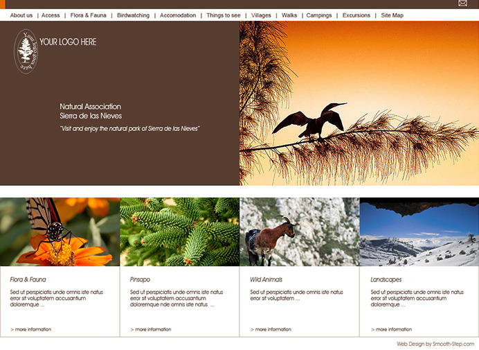 Nature web site example - Home page layout
