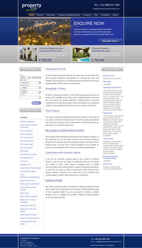 Busy real estate website design