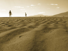 Sepia sea side
