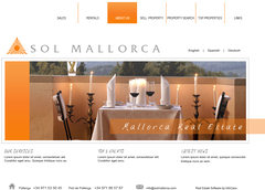 Elegant real estate website design