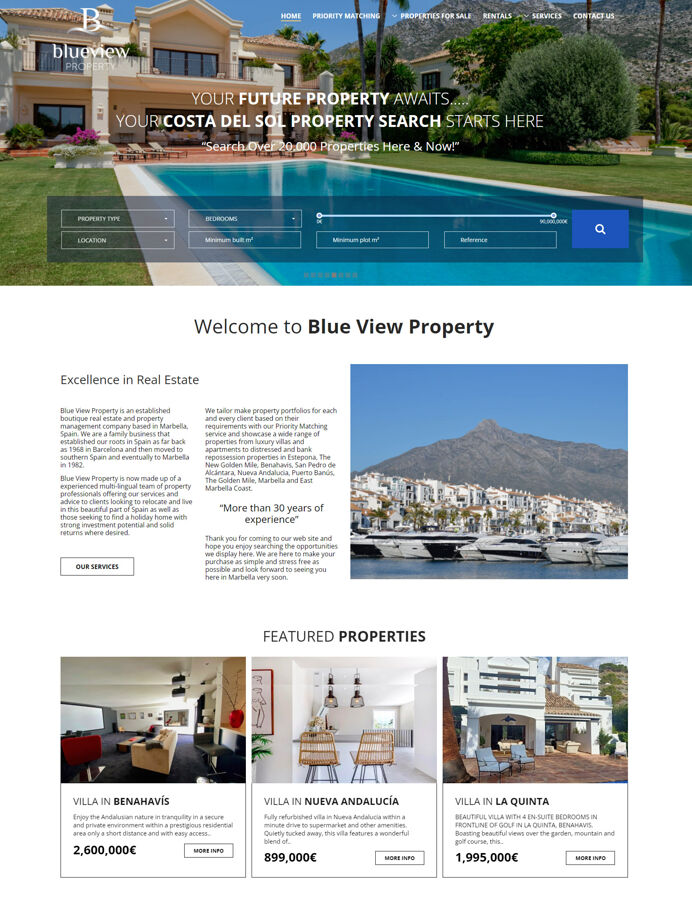 Exclusive real estate website design, home page layout with search system and animated intro text