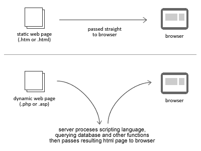 Difference between static and dynamic sites