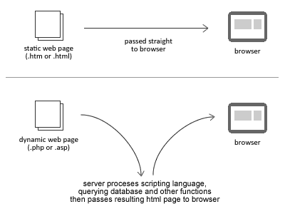 Difference between static and dynamic websites