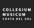 Music website design for classical music orchestra in Costa del Sol